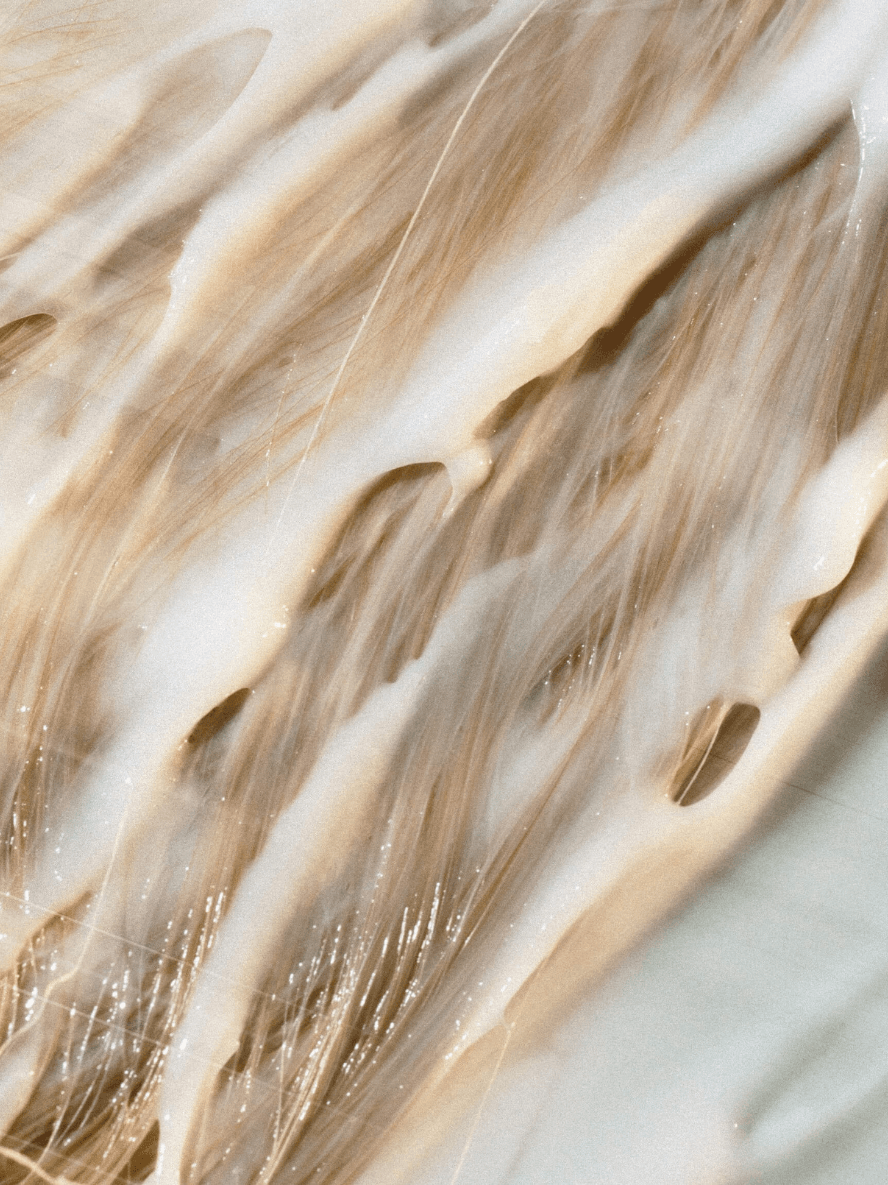 Eco Hydrating Conditioner for Dry Ends | BYMANYC ® New York